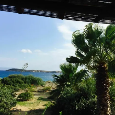 Apartment House With 2 In Drios, With Wonderful Sea View, Furnished Garden *